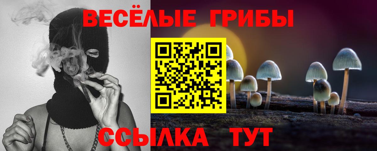 Галлюциногенные грибы ЛСД  купить закладку  Тихорецк  Вход с VPN 