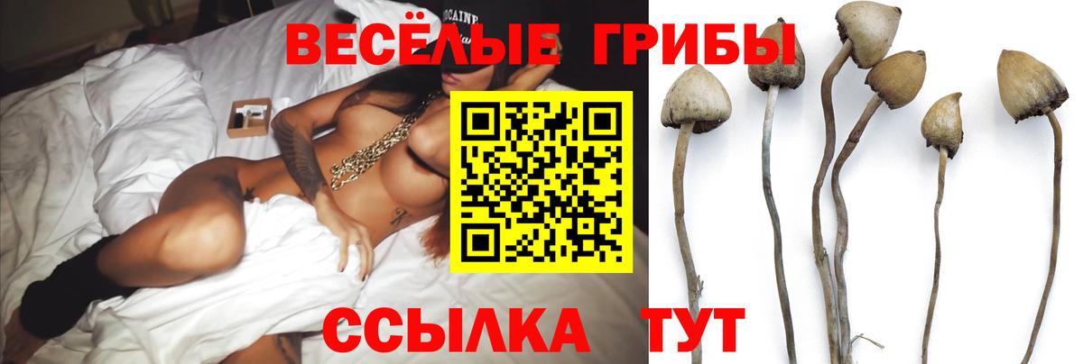 Псилоцибиновые грибы MAGIC MUSHROOMS Тихорецк